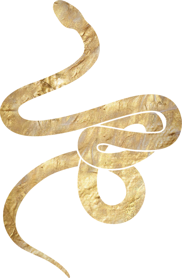 Gold Snake Illustration
