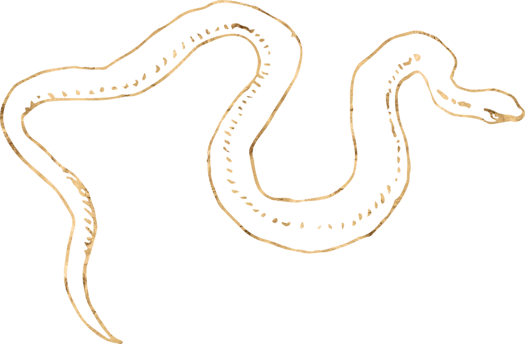 Snake 2 in Gold